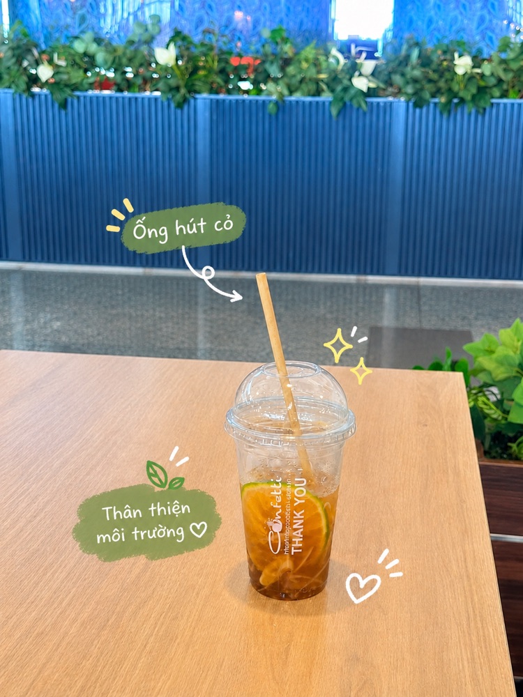 Ống hút cỏ bàng Fresh Straws trong ly đồ uống